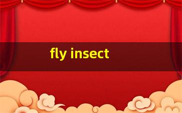  fly insect